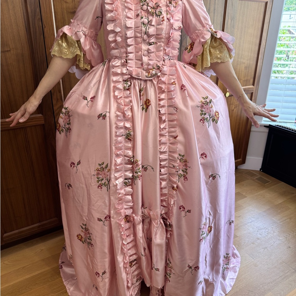 Pink Floral Marie Antoinette 18th Century Rococo Ruffled Gown
